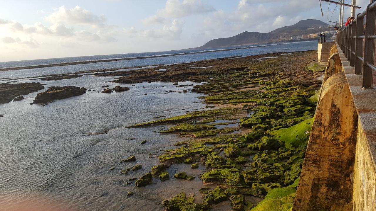 Vcv Marta Canteras Beach Лас-Пальмас-де-Гран-Канарія Екстер'єр фото